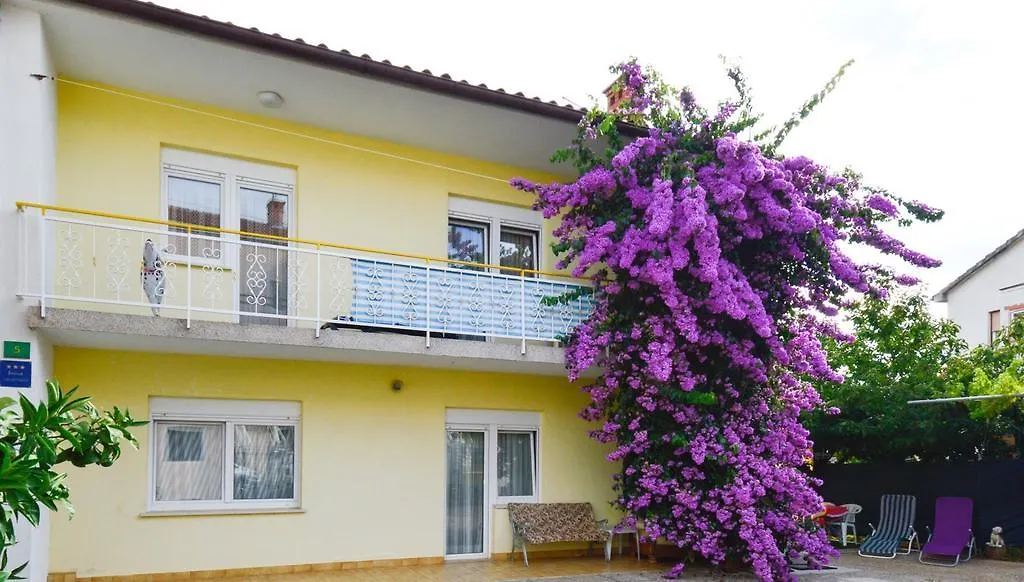 Apartment In Pula/Istrien 11443
